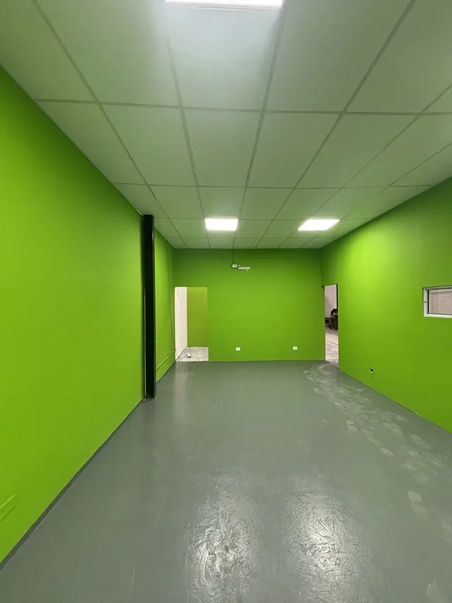 Local terminado con paredes verdes y cielorraso desmontable